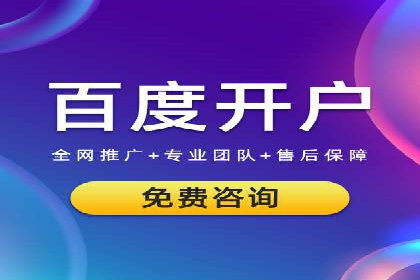 SEM主管实战：案例分析与优化策略